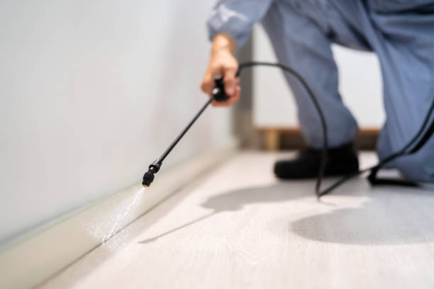 Licensed Cockroach Control service in Collinwood, TN - Nex Pest Control